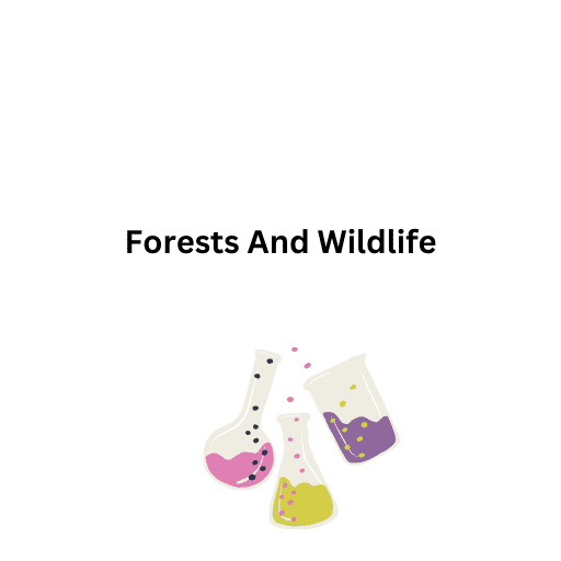 Forests And Wildlife